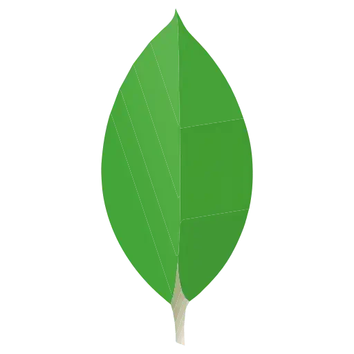 MongoDB